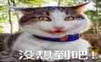 作文没想到真没想到600字7篇
