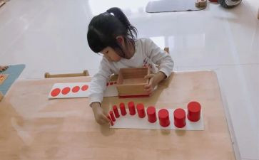 幼儿蒙氏教育心得体会参考5篇