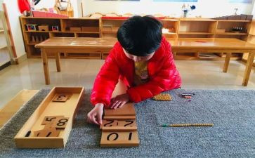 学习蒙氏后心得体会参考7篇