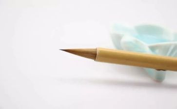 我是一个——迷作文6篇