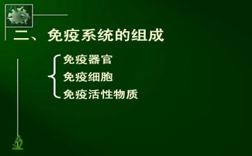 2024年计划免疫工作计划及总结优秀5篇