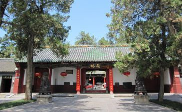 庙上村活动方案参考7篇