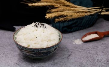 米饭店活动方案策划7篇