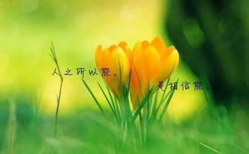名人爱国故事读后感6篇