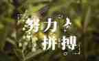 名人传的读后感优质6篇