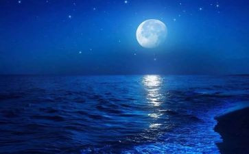 文明月演讲稿5篇