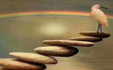 磨炼作文600字参考7篇