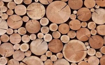 木材购销合同通用8篇