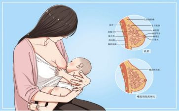 2024年母乳喂养日活动总结8篇