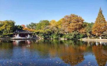 游南京作文模板8篇