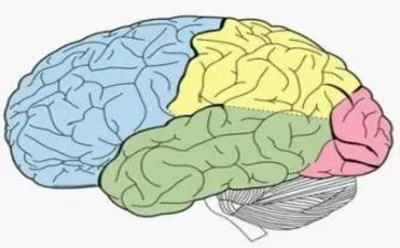 歪脑袋读后感8篇
