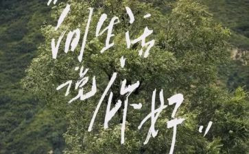 你好的演讲稿5篇