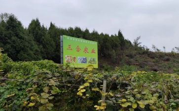 农产品市场调查报告范文7篇