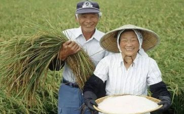 庆农民丰收节活动总结6篇