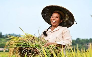 2024年新型职业农民培训总结5篇