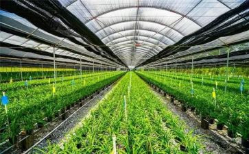 在农业局个人工作总结8篇