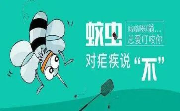 疟疾活动总结8篇