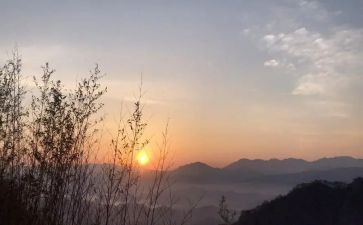 盼的阅读心得体会推荐7篇