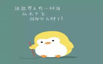 胖男孩自我介绍作文6篇