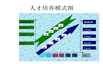 教师双培养的个人总结6篇