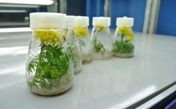 学生培养心得8篇