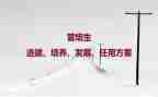2024年培养对象思想汇报6篇