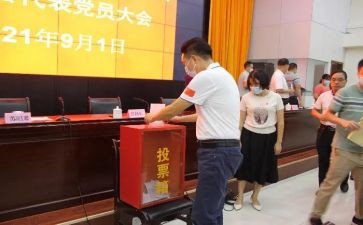 小学评选优秀教师事迹材料8篇
