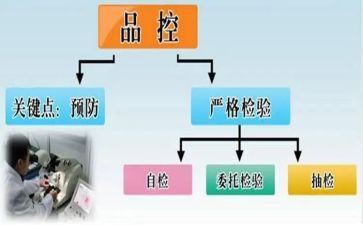 品控的个人总结7篇