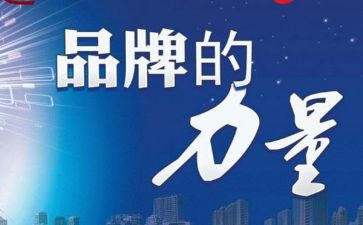 品牌日活动总结8篇