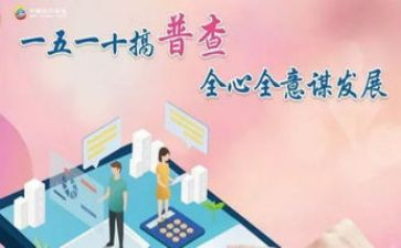 四经济普查工作总结7篇