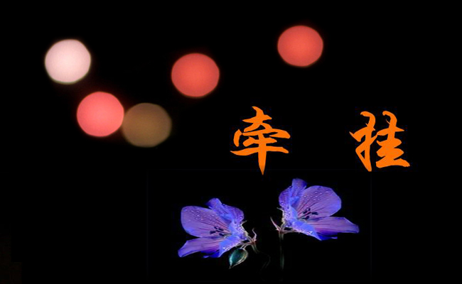 我最牵挂的人作文参考5篇