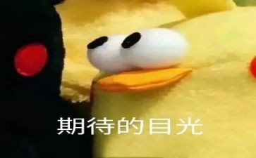 我期待着作文7篇