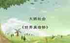幼儿园小班奇妙的水教案6篇