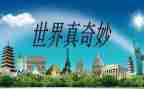 奇妙的根教学反思6篇