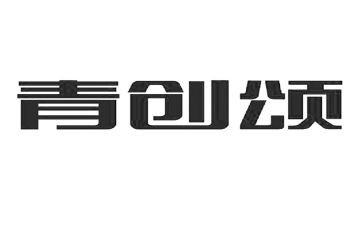 乡村青创心得体会最新7篇