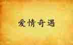 奇遇木偶记读后感优质7篇