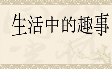 趣事作文300字精选5篇
