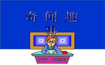 假期趣事的作文精选8篇