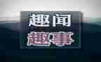 班级里的有趣事作文通用8篇