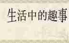 趣事作文300字精选5篇