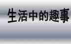 生活趣事的作文模板5篇