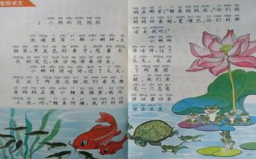 人教育心得体会精选5篇