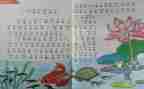2024年个人教育整顿心得体会6篇
