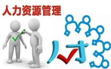 人力工作总结及2024年工作计划精选5篇