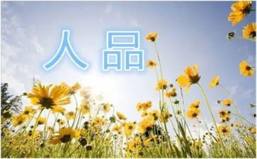 2024年个人品质总结报告5篇