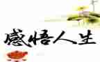人生感悟的心得体会8篇
