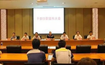 任职以来的个人总结5篇