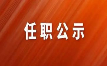 教师个人任职以来工作总结6篇