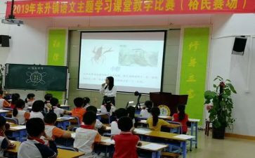 小学比赛课活动方案6篇