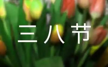三八节主题活动方案5篇